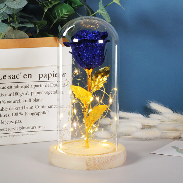 ⁦Valentines Day Gift  For Girlfriend Eternal Rose Flowers LED Light In Glass Cover Day Wedding Decoration Favors Mother Day Female Gift  Gift⁩ - الصورة ⁦6⁩