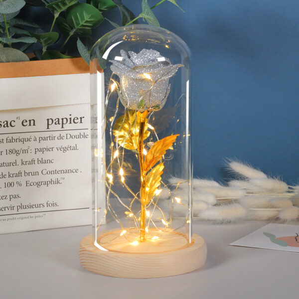 ⁦Valentines Day Gift  For Girlfriend Eternal Rose Flowers LED Light In Glass Cover Day Wedding Decoration Favors Mother Day Female Gift  Gift⁩ - الصورة ⁦2⁩